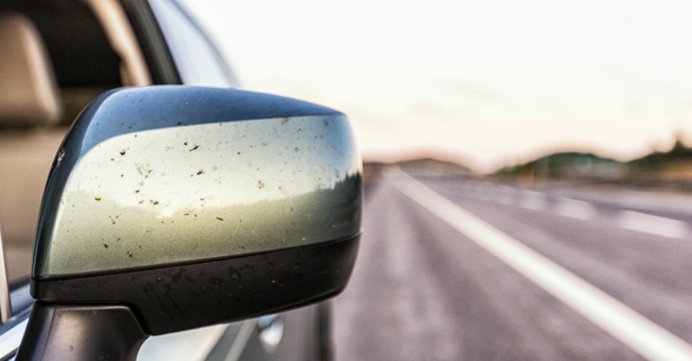 Bugs and Cars How to Properly Clean Your Car